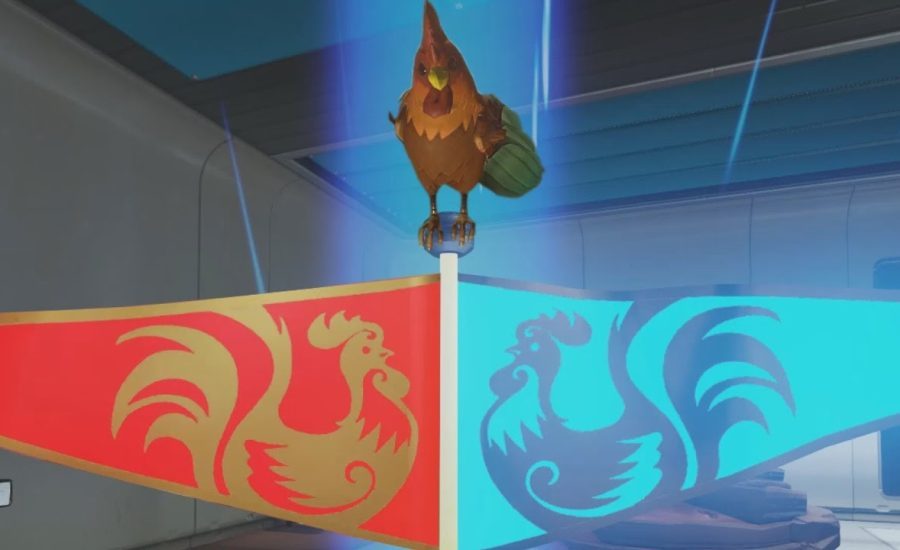 Overwatch - Defenders of the Rooster