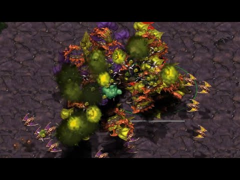 Larva (Z) v Queen (Z) on Bloody Ridge - StarCraft - Brood War 2019