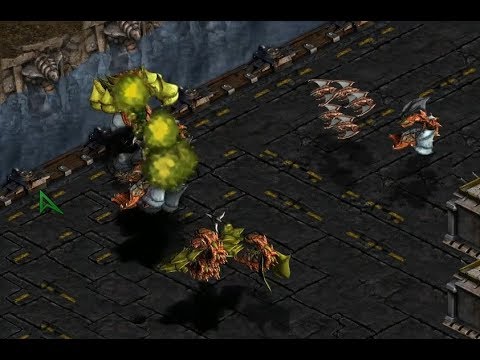 Larva (Z) v Shine (Z) Threefer - StarCraft  - Brood War REMASTERED 2019