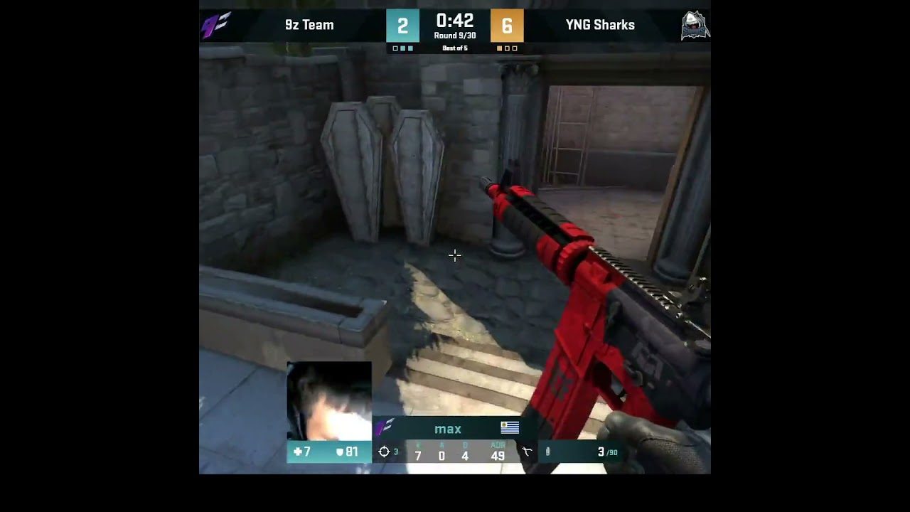 9z vs Sharks | max highlight!