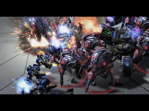 Brave Noob World - Michael (T) vs Zepher (P) on Curious Minds - StarCraft 2 - 2021