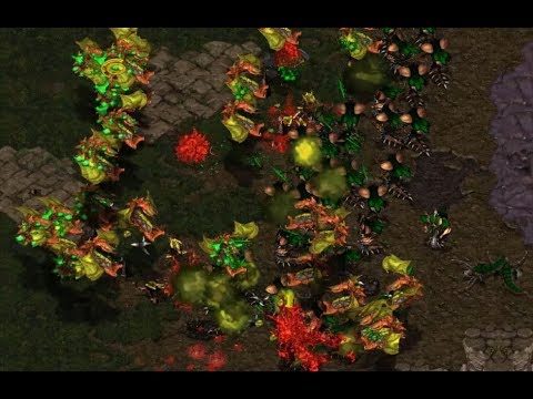 GOSU - s2.pRo (Z) v Gambler (Z) on Python - StarCraft  - Brood War REMASTERED