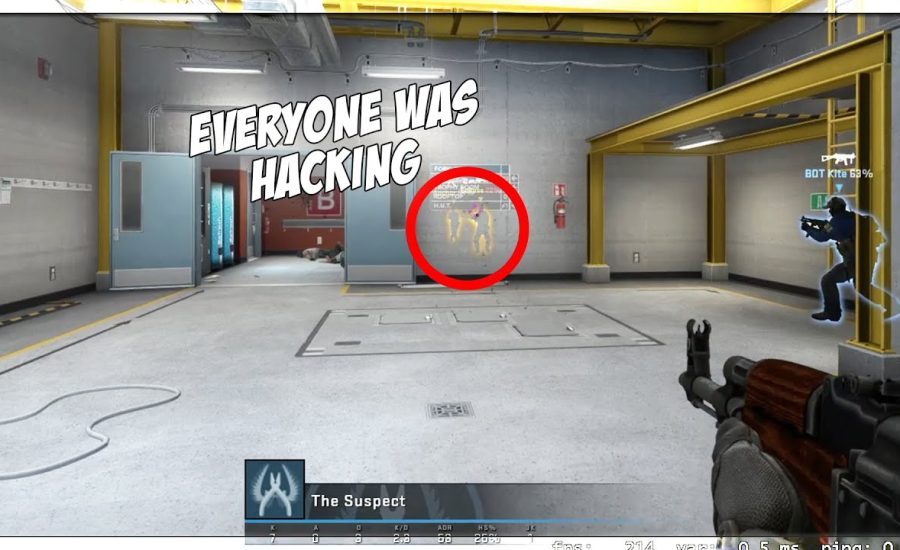 LITERALLY EVERYONE WAS HACKING!! | CSGO OVERWATCH