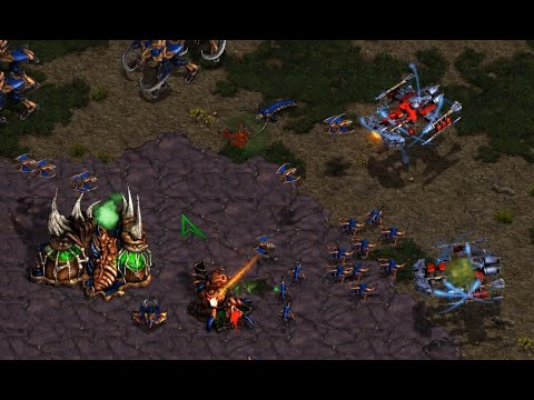 EPIC! FLASH! JAEDONG! DMATRIX BCs! on Polypoid! - StarCraft - Brood War - 2024