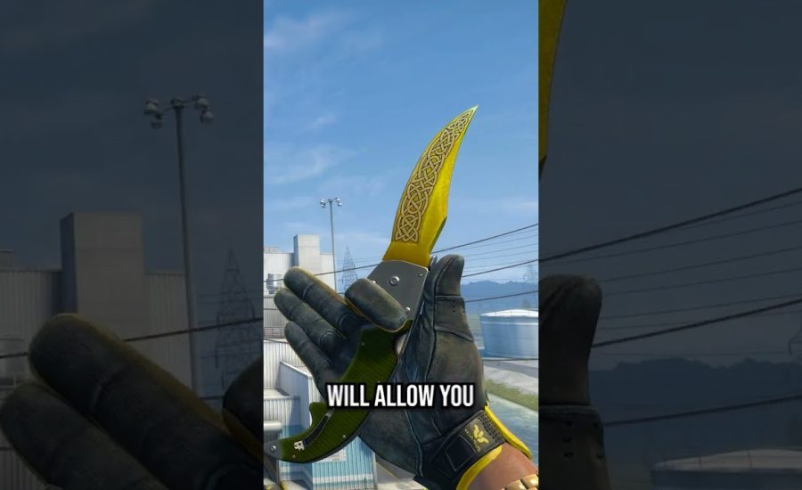 best cheap knife with RARE INSPECT