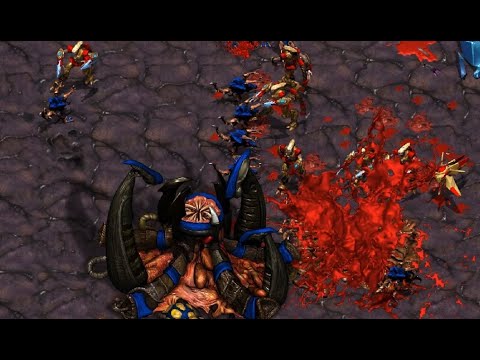 BROOD WAR PRO CHEESE #8 - StarCraft - Brood War - REMASTERED