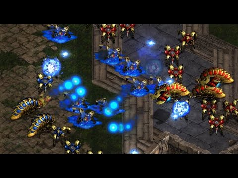 CATERPILLAR HEAVEN - Mini  (P) vs Shuttle  (P) on Vermeer - StarCraft - Brood War REMASTERED