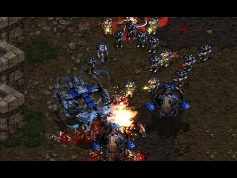 Crazy Critters 8-player FFA! PvPvPvTvTvTvZvZ - StarCraft - Brood War REMASTERED 2023