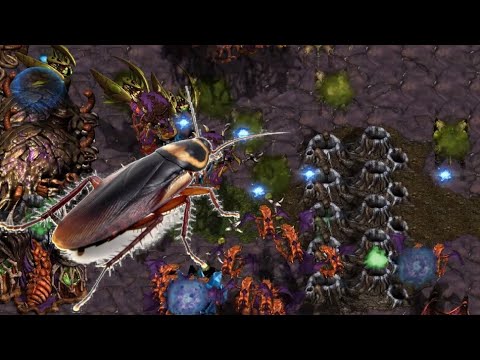 La Cucaracha! 3v3 Fastest Map Ever! - PPZ vs PPZ - StarCraft - Brood War - 2023