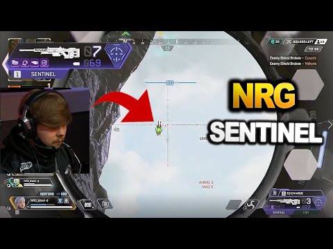 NRG Sweetdreams tries to use Sentinel in the last game of the Algs tournament -| ( apex legends )