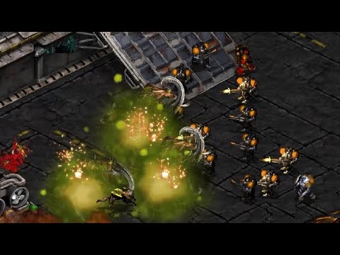 IRRADIATE THIS! herO! (Z) Sharp! (T) on Eclipse! - StarCraft - Brood War Remastered