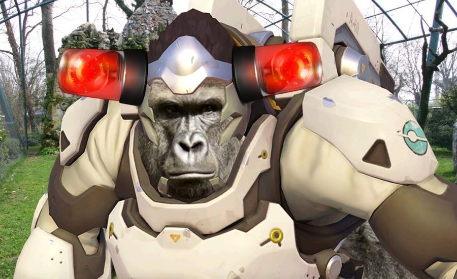 Overwatch - Don't be Alarmbe it's just Harambe