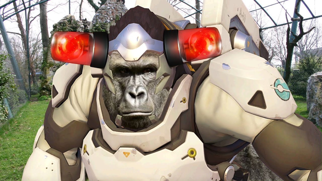 Overwatch - Don't be Alarmbe it's just Harambe