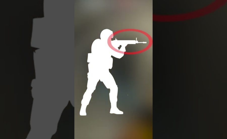 VALVE NEVER ADDED THIS WEAPON