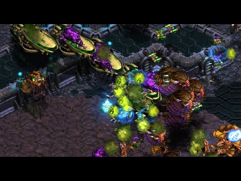 Day 8 FUSS! Wk'Cross! Hamburger! Ample vs Soma Bo3! MONEY9999 FFA! - StarCraft - BroodWar Remastered