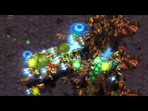 Day 11 FUSS! Hamburger! Scouts! Action! Nukes! RJB! FFA!  - StarCraft - BroodWar Remastered 2024