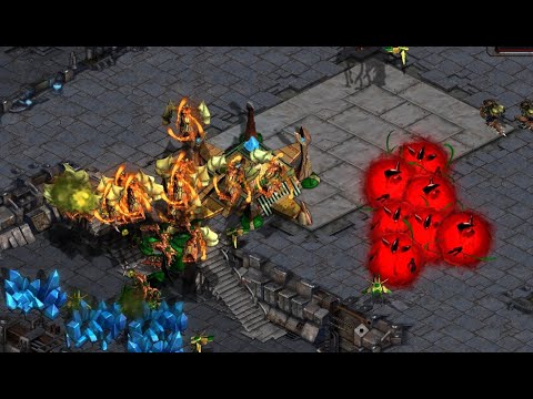 Day 18 FUSS! EPIC SOMA LIGHT! FME! TWO FFA! MONOBATTLE!  - StarCraft - BroodWar Remastered 2024