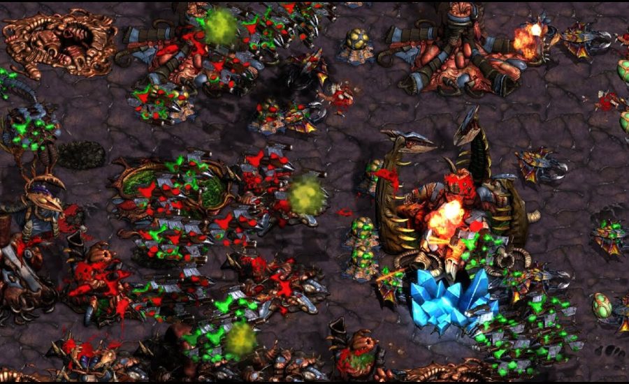 Day 28 FUSS! Queen! Paralyze! Scan! Light! Flash! Monobattle! - StarCraft - Brood War - 2024
