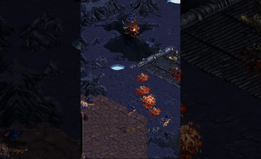 ZeLoT is back making guardians! What a madman! #gaming #falconpaladin #starcraftbroodwar