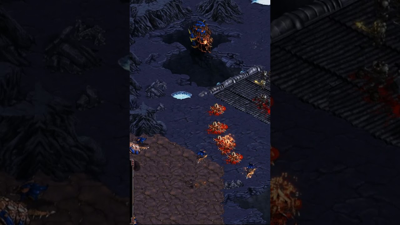 ZeLoT is back making guardians! What a madman! #gaming #falconpaladin #starcraftbroodwar