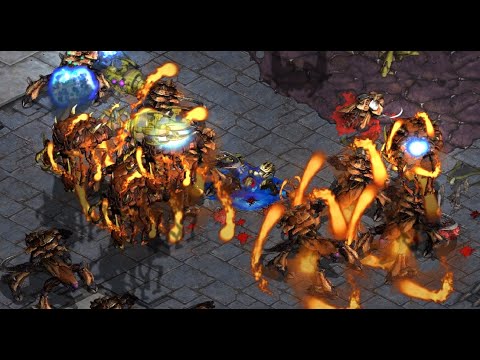 DAY 74 FUSS! EPIC BEST OF 5 LARVA MONG! herO! Bishop! FFA! Phantom! - StarCraft - Brood War - 2025