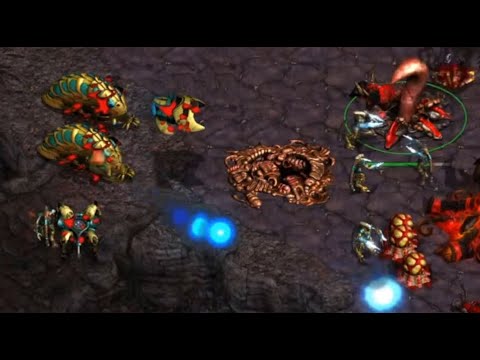 FALCON SPASM! STARCRAFT POLITICS SPORTS MORE! PRO REPLAYS! LIVE GAMES! STARCRAAAFT!