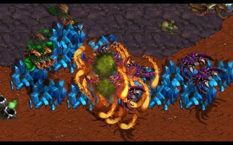 StarCraft! herO! Queen! Sn0w! Sharp! Sports! Movies! Politics! - Brood War -2025