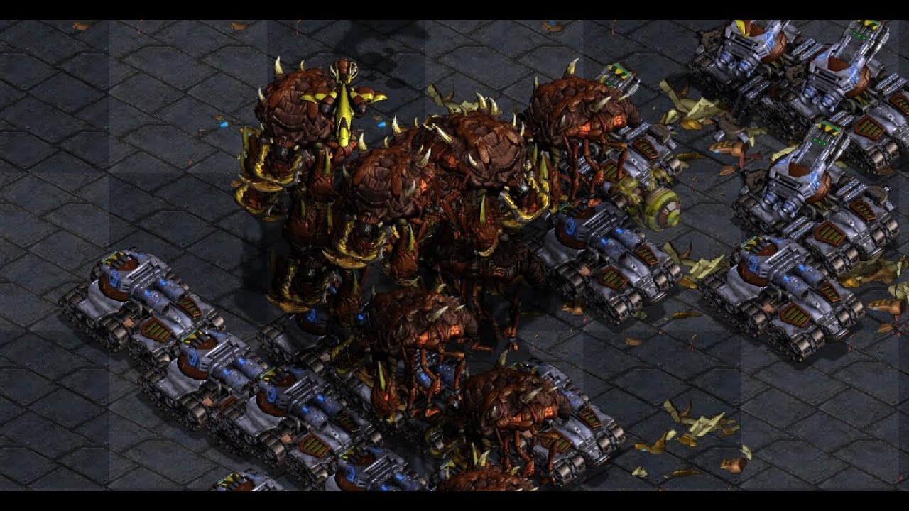 Monday StarCraft! Shuttle! Action! ssinz! Live Games! Sports! Movies! Politics! - 2025