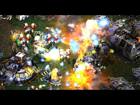 SUNDAY BROOD WAR IS BACK! NIBBLER! ANTH! UMS! FME! FFA! Sports! Movies! Politics! - StarCraft - 2025