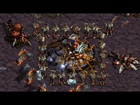 Light! Snow! Paralyze! Dewalt! Bonyth! FME! PHANTOM! MORE UMS! - StarCraft - BroodWar