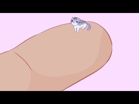 Double bows! (Apex Legends)