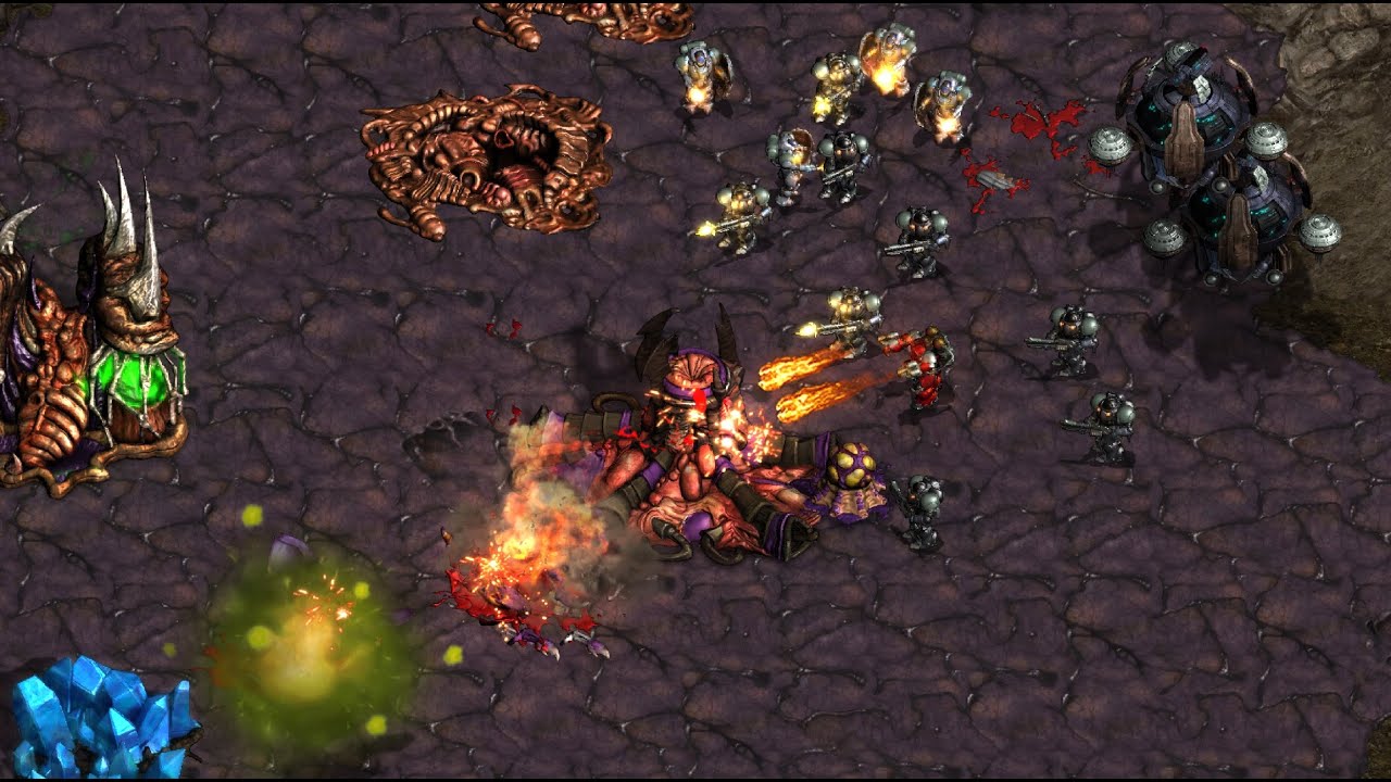 Bisu! Jaedong! Scan! RoyaL! Queen! Soulkey! Light! - StarCraft  - Brood War - 2025