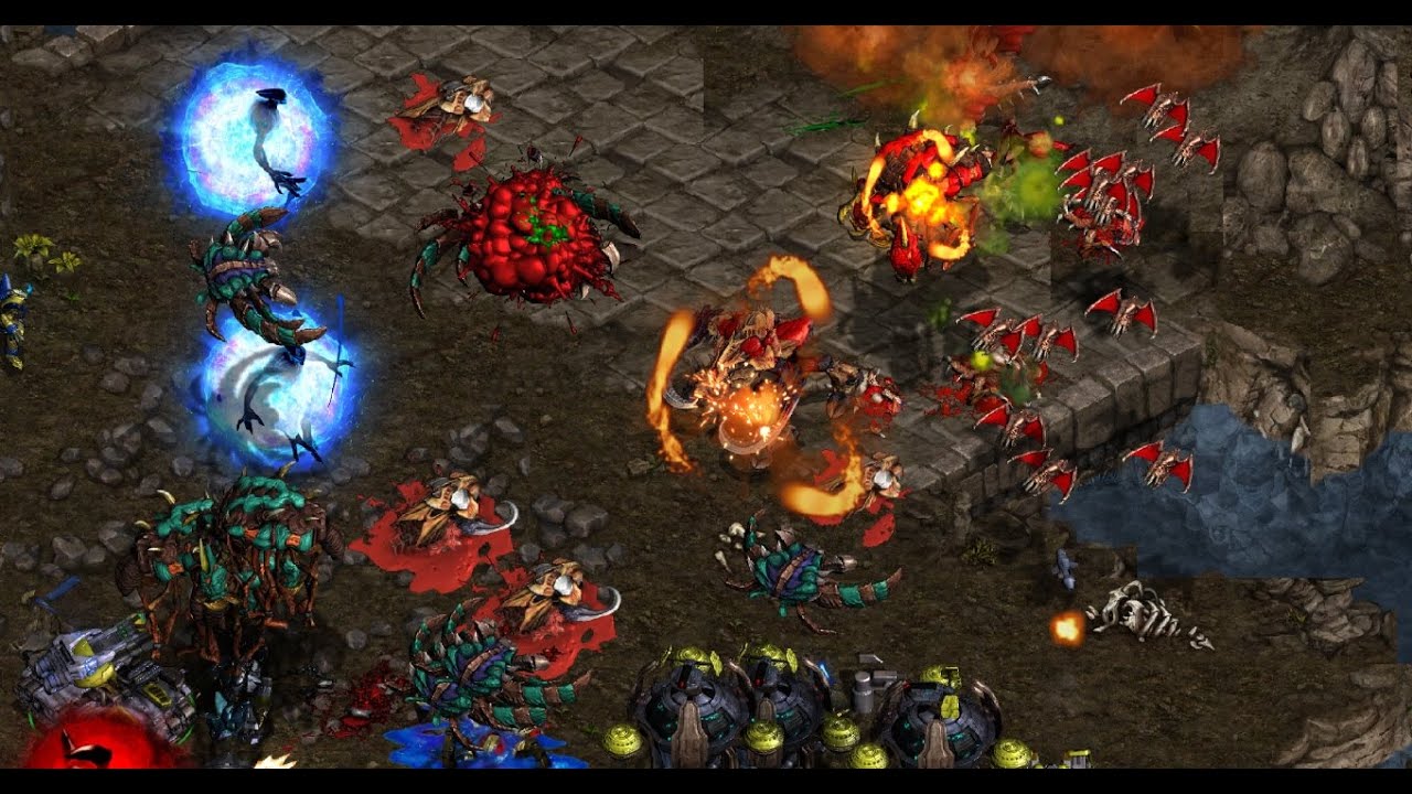 SUNDAY! Nibbler! Ahmed! Anth! Cross! Bigwan! Max!! FME/BGH/FFA/KOTH! StarCraft - Broodwar - 2025