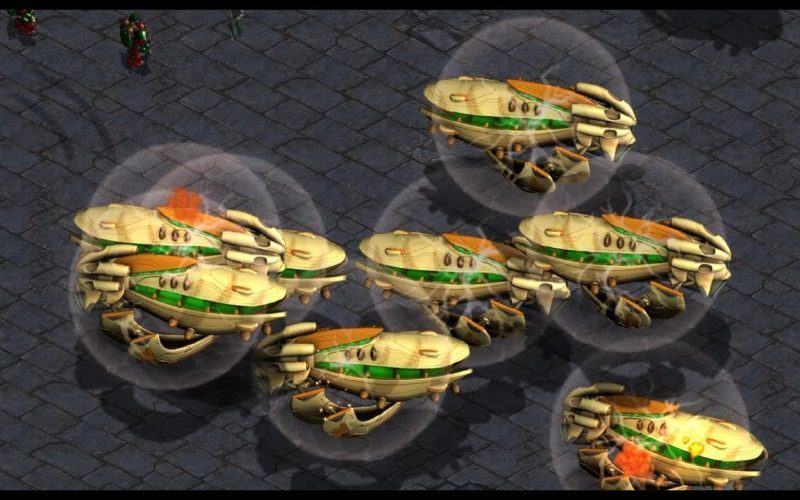SUNDAY! Nibbler! Cross! maxpower! Anth! New Phantom! FFA! FME! - StarCraft Brood War - 2025