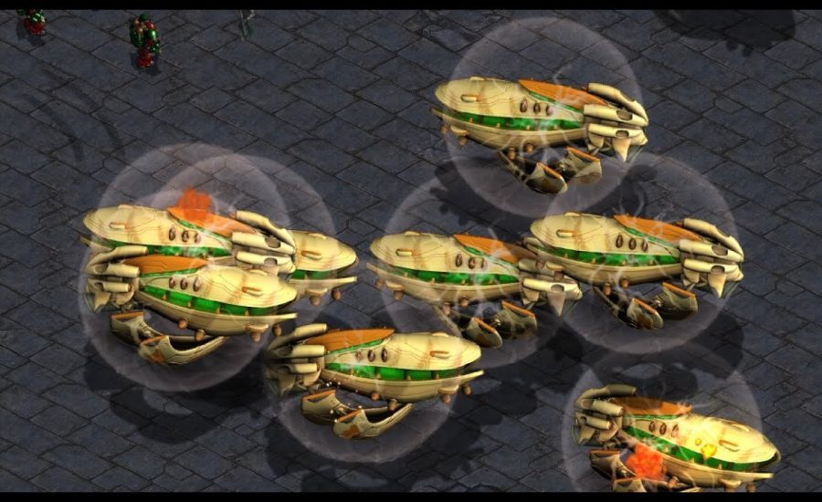 SUNDAY! Nibbler! Cross! maxpower! Anth! New Phantom! FFA! FME! - StarCraft Brood War - 2025 7 SUNDAY! Nibbler! Cross! maxpower! Anth! New Phantom! FFA! FME! - StarCraft Brood War - 2025