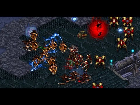 Pro Replays and Live Games! - StarCraft Broodwar - 2025