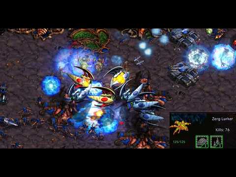 SUNDAY! Nibbler! Cross! Anth! SCOUTS! NUKES! FME/UMS/FFA! - Starcraft - Brood War - 2026