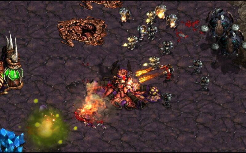 SUNDAY! Nibbler! bazomp! Max Tyler Replay! FME/UMS/FFA! - Starcraft - Brood War - 2026