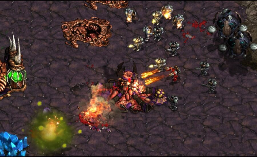 SUNDAY! Nibbler! bazomp! Max Tyler Replay! FME/UMS/FFA! - Starcraft - Brood War - 2026