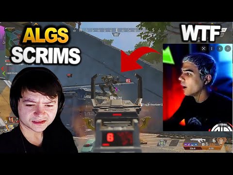 TSM Imperialhal team stunned when wiped so fast in algs scrims