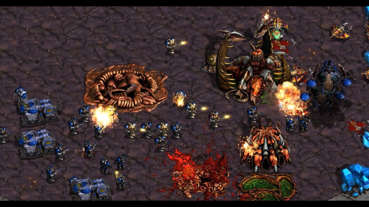 Effort! Snow! Soma! Live Games! UMS! FME! - Brood War - 2026 1 Effort! Snow! Soma! Live Games! UMS! FME! - Brood War - 2026