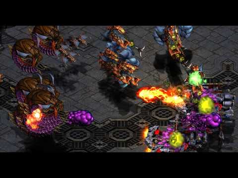 SUNDAY! Nibbler! Monster! EPIC TvZ! Phantom! 2 FFA! Tug of War! - StarCraft - Brood War - 2026 11 SUNDAY! Nibbler! Monster! EPIC TvZ! Phantom! 2 FFA! Tug of War! - StarCraft - Brood War - 2026